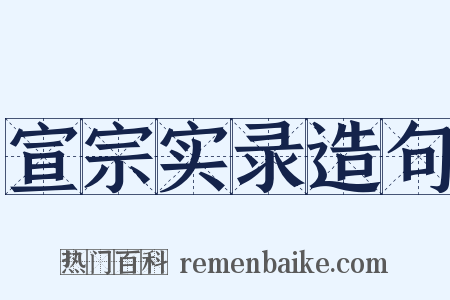 宣宗实录造句是什么意思的图片